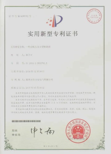 Design patent certificate