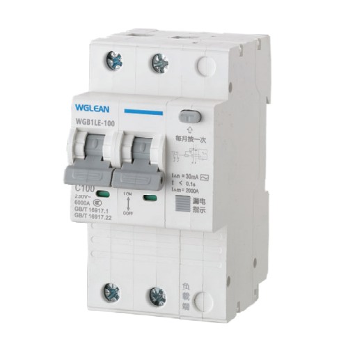 WGB1LE-100